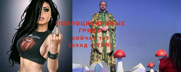 гидропоника Армянск