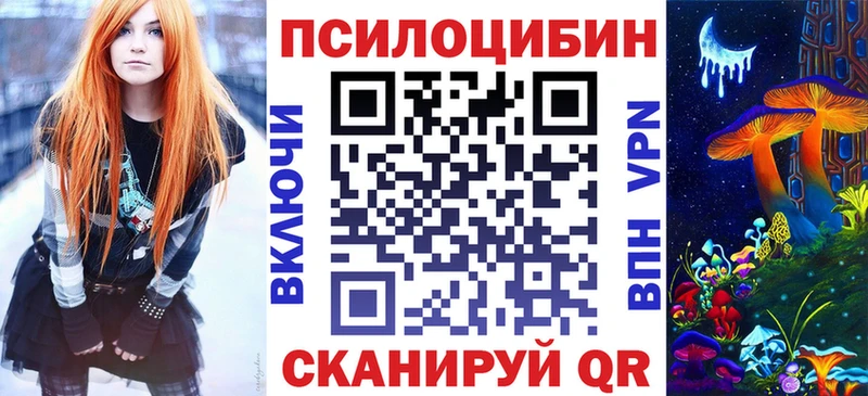Псилоцибиновые грибы Psilocybe  закладки  Аткарск 